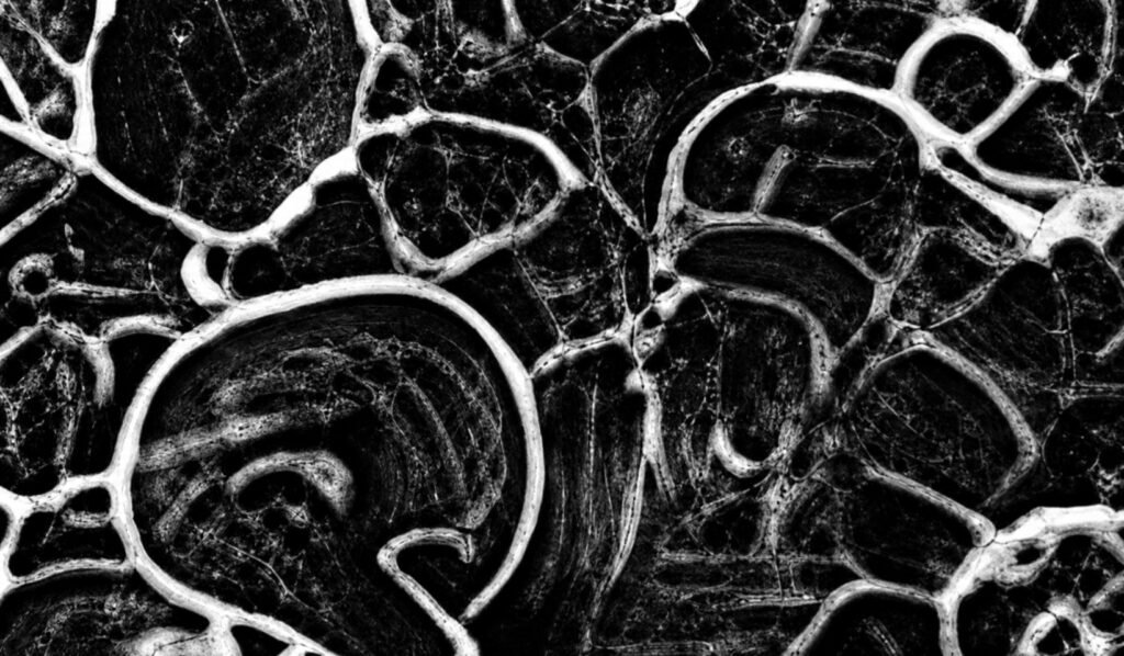Properly heat-treated structure